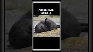 Мама была в отъезде, а папа грустил