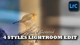 Robin of Sherwood 4 Styles Edit | Lightroom Classic