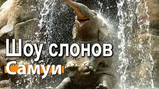 Шоу слонов в Таиланде на Самуи