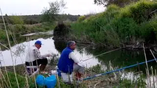 Seferihisar Balık Avı (Sazan, Yılan Balığı ve Çipura Avı)