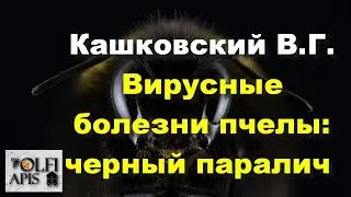 #Кашковский