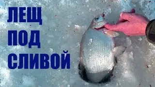 Увлекательная зимняя рыбалка. Ловля подлещика на мормышку