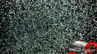 Ремонт/Стайлинг
