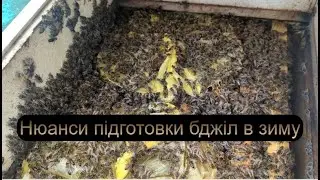 #1  Підгодівля бджіл не в пору або нюанси підготовки бджіл в зиму