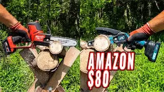 How Does it Compare? BeiHong 6 inch 21V Cordless Pruning Chainsaw [AMAZON]
