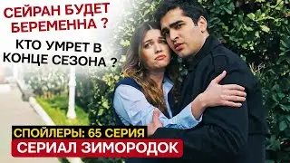 КОГДА ФИНАЛ 2 СЕЗОНА! Новости сериала Зимородок 65 серия спойлеры - Сейран будет беременна