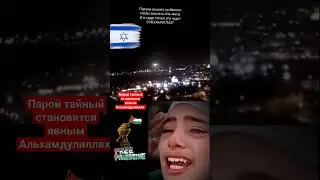 Палестина-Израиль, Всевышний знает лучше!