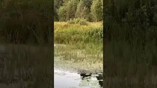 23 июля 2024 г.