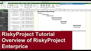 RiskyProject Enterprise Tutorial: Overview of RiskyProject Enterprise