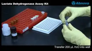 Lactate Dehydrogenase Assay Kit