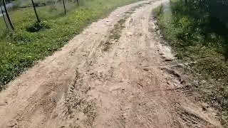 Смотрю что стало с прудами за зиму!