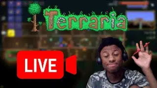 I'm going to be starting new then yes, press start! (Livestreaming Terraria)