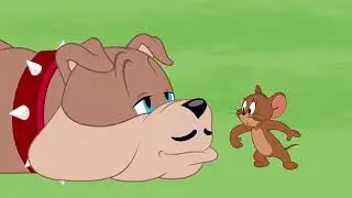 The Tom and Jerry Show Stone Age Tom