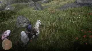 Red Dead Redemption 2_20240614075842