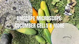 AmScope Microscope: Cucumber Cells and more | Mini Garden Vlog ‘22
