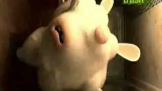 Rayman Raving Rabbids TV Party - Microwave