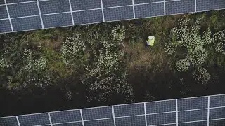 Aziende amiche dell'ambiente con Green Vision 2