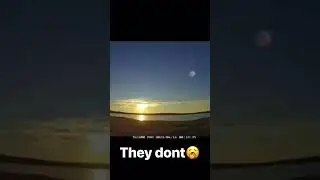 Green landers be like