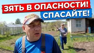 Зять в Опасности! Что Задумала Теща на Дачном Участке?