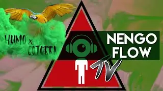 Humo y Cotorra: Nengo Flow | Triangulo TV