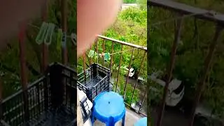 мега ливень 5
