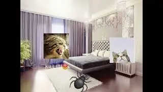POV:IO QUANDO VEDO UN RAGNO
