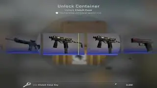 i opened a clutch case...