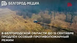 В Белгородской области до 15 сентября продлён особый противопожарный режим