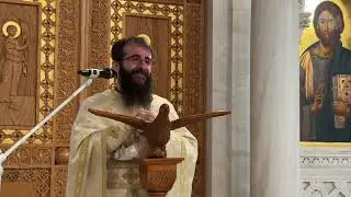 E Diela VIII e Llukait (Samaritani i mirë) - Predikim Nga Atë Harallamb Gjoka.