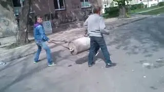 (EARRAPE WARNING) Редкие кадры Польской артиллерии в действии, но я прокачал мем