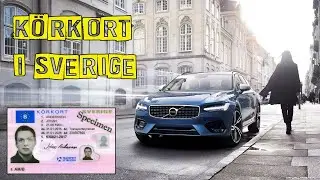 Как получить водительское удостоверение в Швеции. Körkort i Sverige
