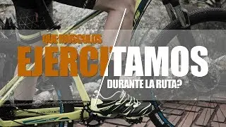 ¿Que músculos ejercitamos durante la ruta?