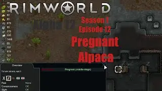 [S1E12] Pregnant Alpaca - Rimworld Alpha 12 Animal Taming