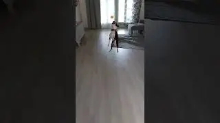 МЯЧИК ⚾           😁