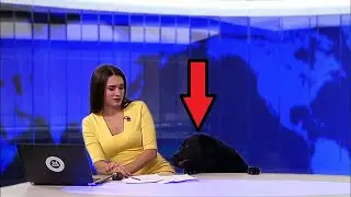 He crawled out from under the table right during the live broadcast! Everyone was SHOCKED!
