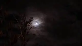 Bright Full Moon