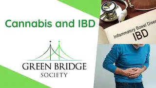 Helping IBD Patients with Cannabis