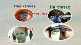 Слово к слову: Глаз. Часть 1