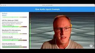 Dive Audio Inputs Example
