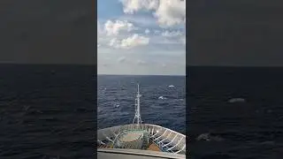 I'm the King of the World 👑 Carnival Vista Deck 7