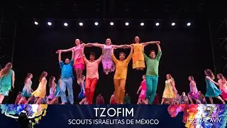 50 Festival Aviv | TZOFIM | Scouts Israelitas de México