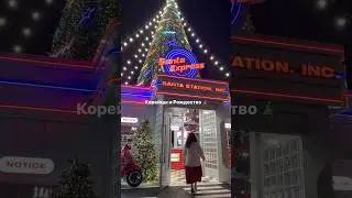 Как корейцы празднуют Рождество #сеул #жизньвкорее