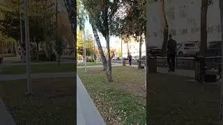 Пермь🛣 бульвар Советской армии ( Осень 🍂 радует солнцем)#пермь #урал #осень #жизньвгороде