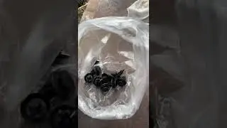 Позволь себе чуточку лучше #газ3102 #Волга
