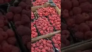 5 мая 2022 г.Малина цена на Фуд - Сити рынок😍 Полное обзор цены посмотрите на канал🛎👍