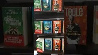 Книжный во Франции. #shorts