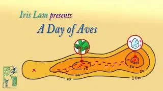 A Day of Aves