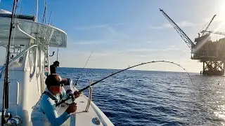 Mad Chaos Breaks Out in the Gulf of America (Catch Clean Cook)