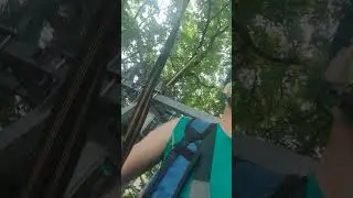 11 июня 2024 г.