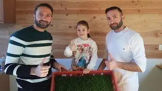 Basit ve uygun tavuk yemi nasil yapilir🌾
